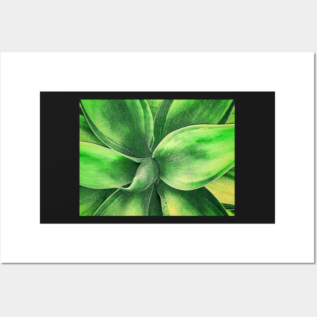 Agave Wall Art by jvnimages